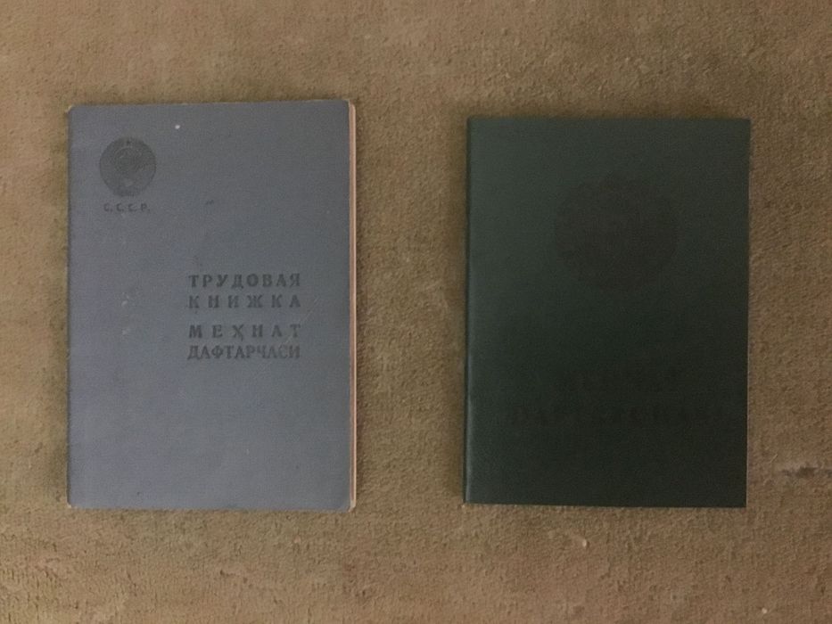 Трудовая книжка. 2 вида.