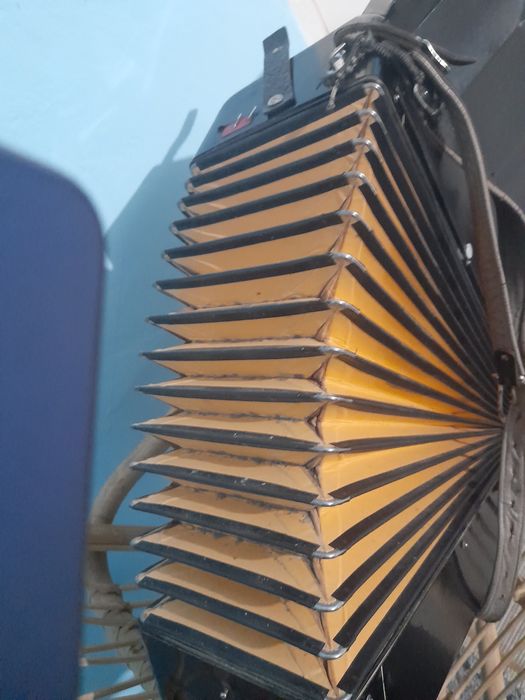 Acordeon în stare bună