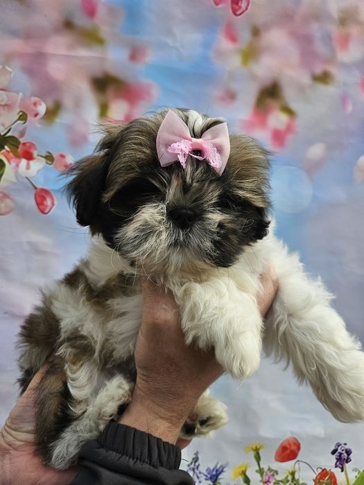 Отличный лайфхак  для сплочение семьи