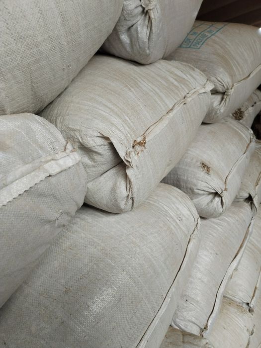 Qoʻy uchun yem (yer yongʻoq pochoq)