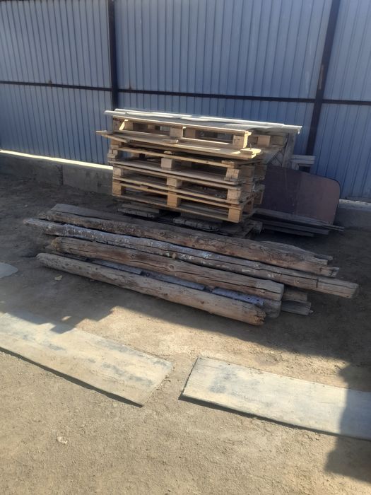 Отындык агаштар бар