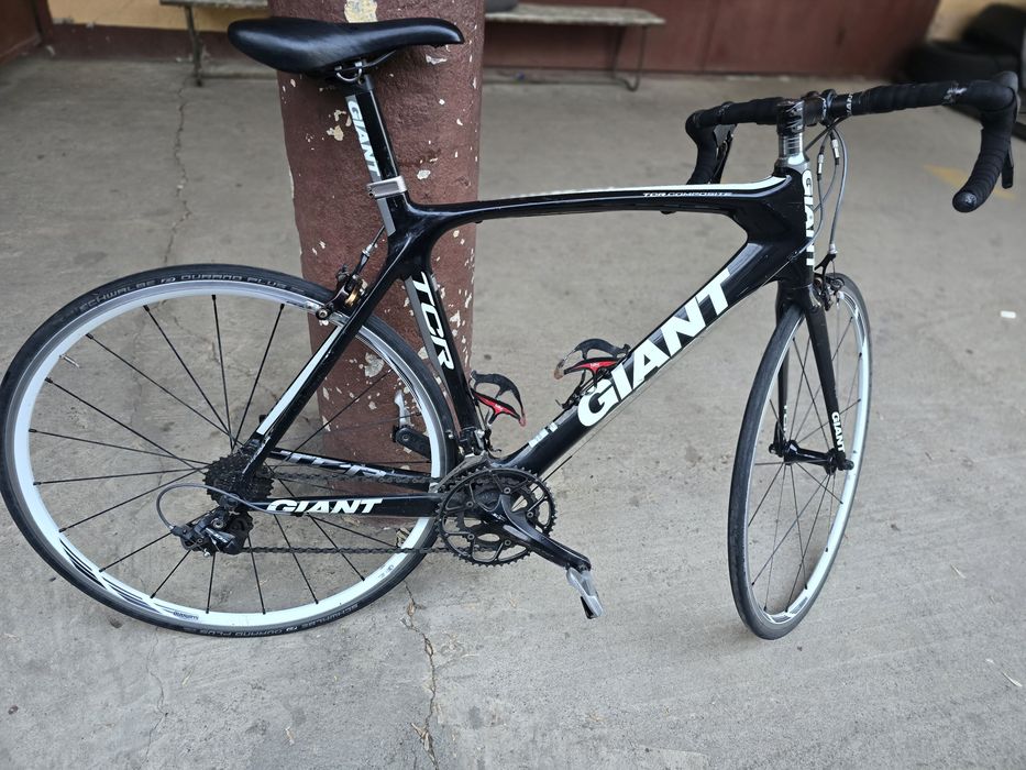 Cursiera Giant Carbon