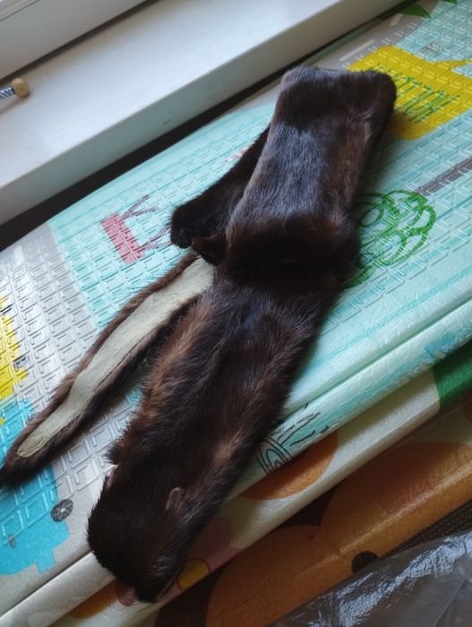 Продаётся шкурка норки