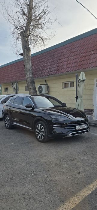 BYD Chempion Gibrid 2024