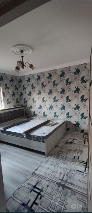 Sheriklikka 2ta student bolaga joy bor
