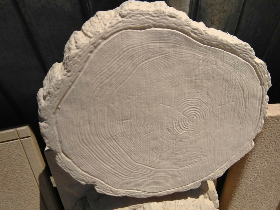 Vând dale de curte