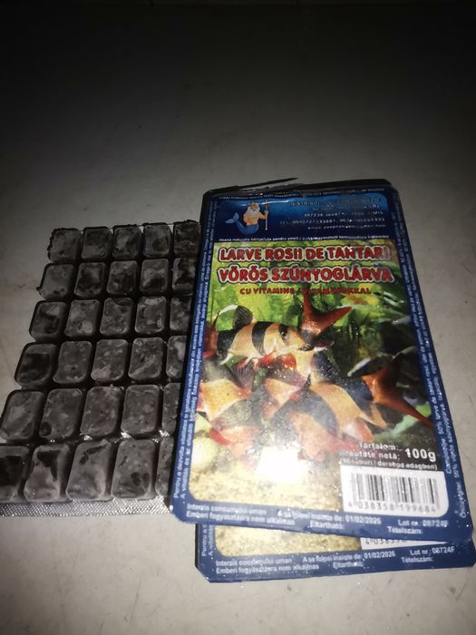 Hrana congelata larve de țânțari cu vitamime