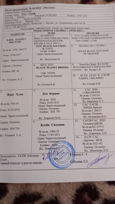 Кавалер ищет даму.