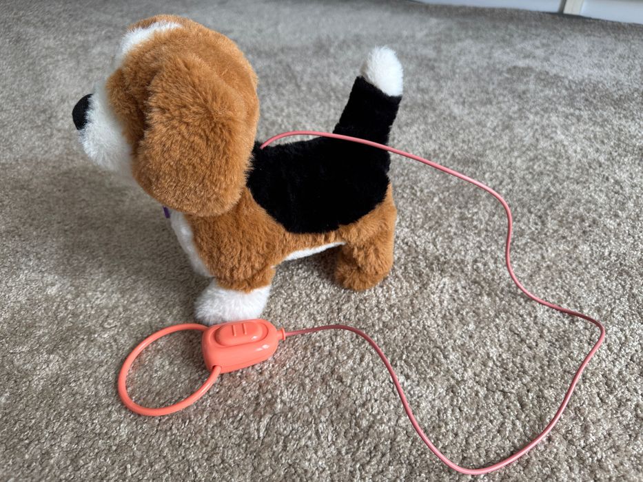 Catel plus interactiv Zigo Noriel