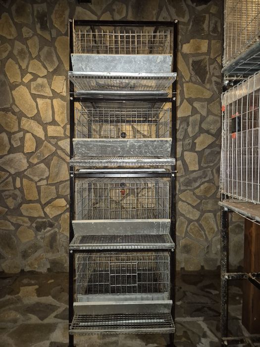 Prepelite cusca, incubator, maternitate