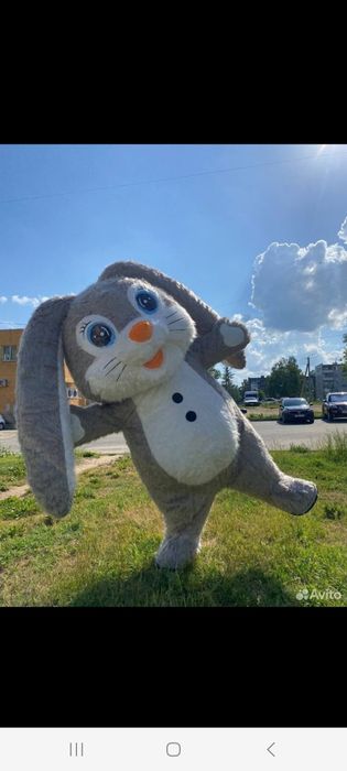 Remont damlik ayiqlar