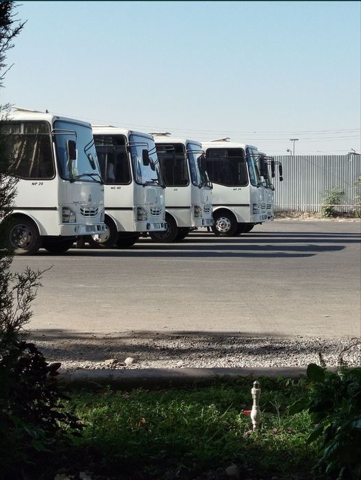 Avtobus zakaz/zakaz avtobus