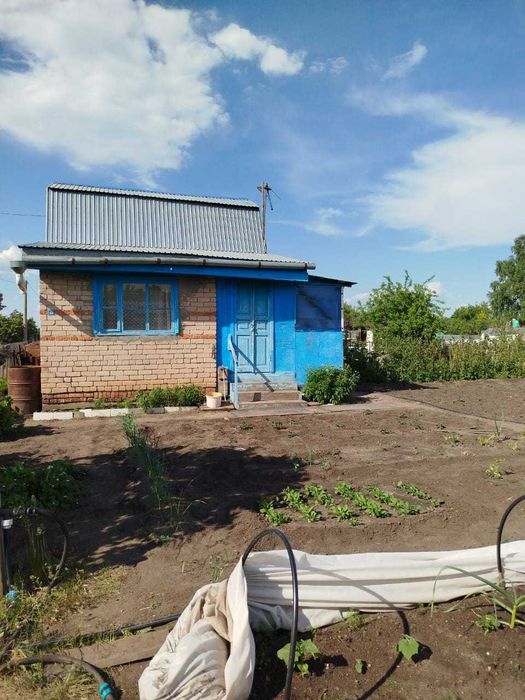 Продам дачу с кирпичным домом "Дружба"
