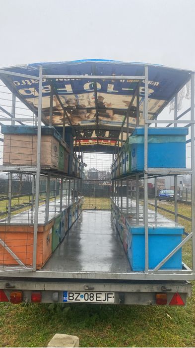 Vând /schimb modul apicol .capacitate de 44 cuti.