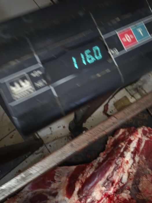 Мясо ет оптом социалный  баға
