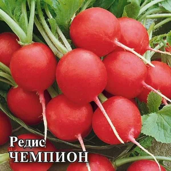 Семена Редис Чемпион, 50г, Гавриш