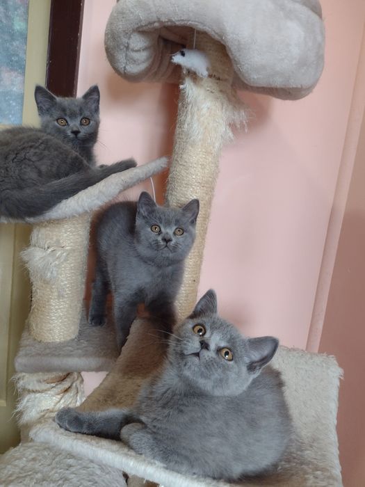 Най хубавия подарък .