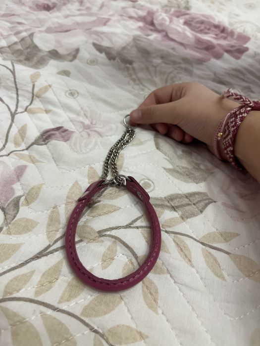 Розовоя полу удавка для собак