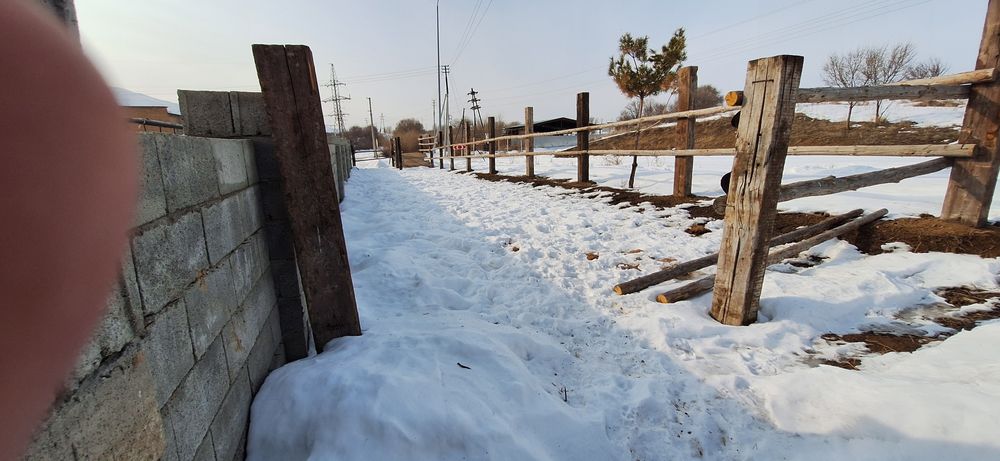 текеліде жер уи сатылады