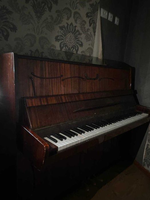 Пионина сотилади