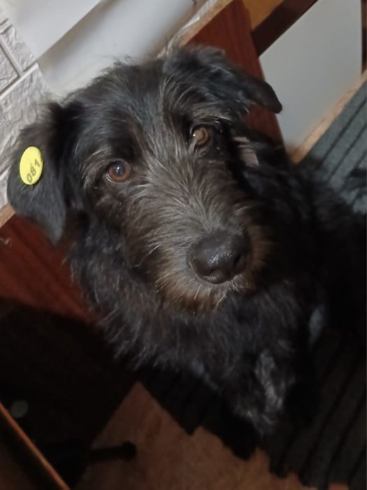 Девчульки -красотульки!!!