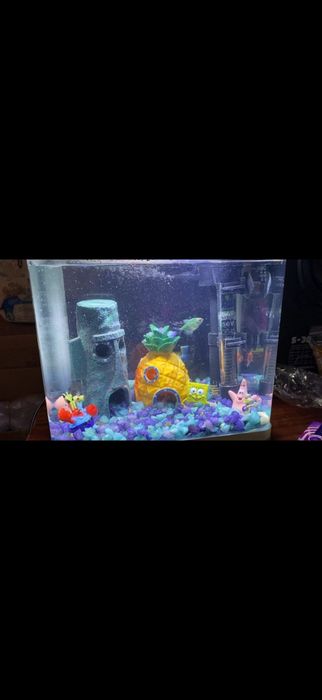 Аквариум для рыбок