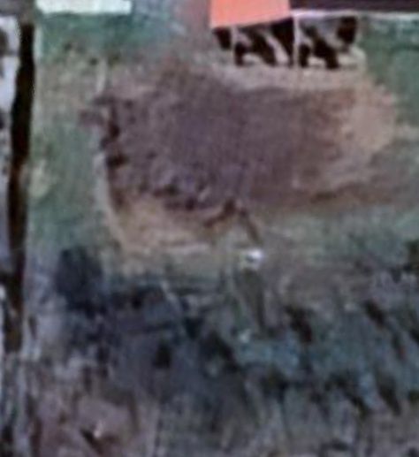 Nazarbek da 8.12 sotix notariusga tayor yer