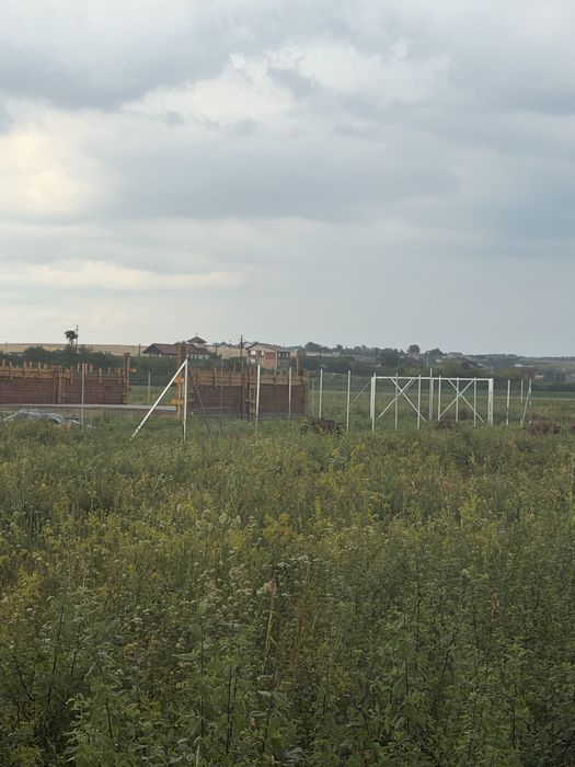 Teren intravilan Pausa
