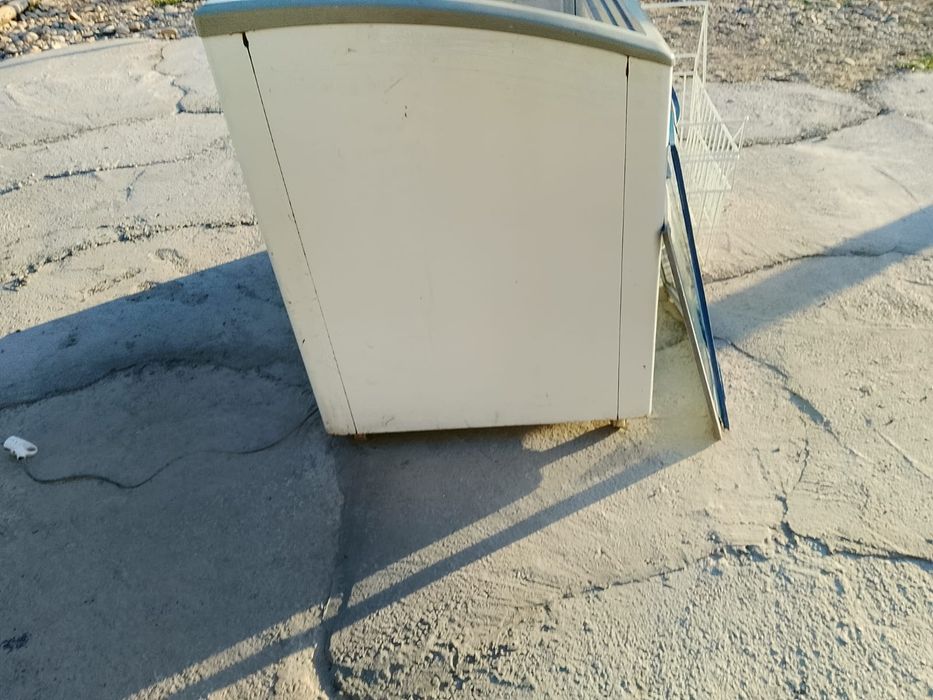 Үлкен маразильник
