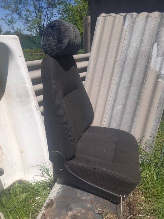 Сидиния газельге