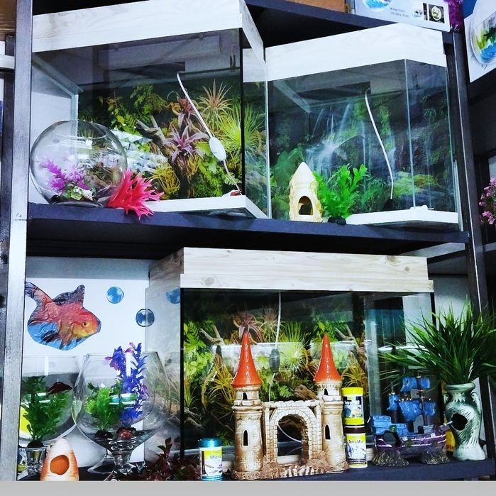 Аквариум100л  . Навои Торайгырова