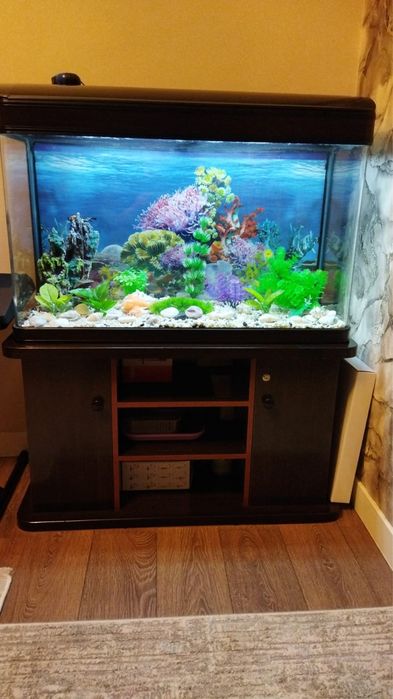 Аквариум со всем всем всем..