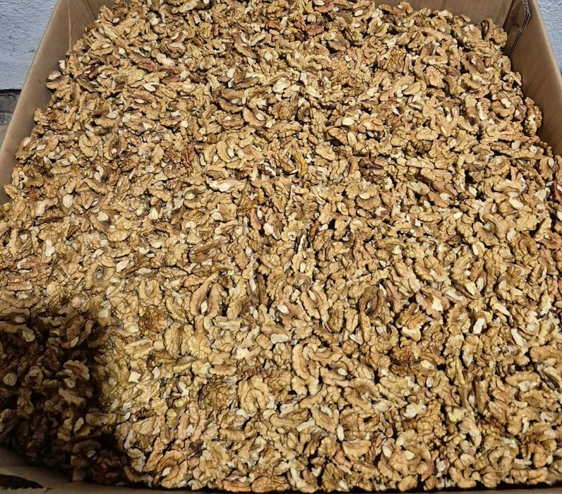 Miez de nuca anul 2025