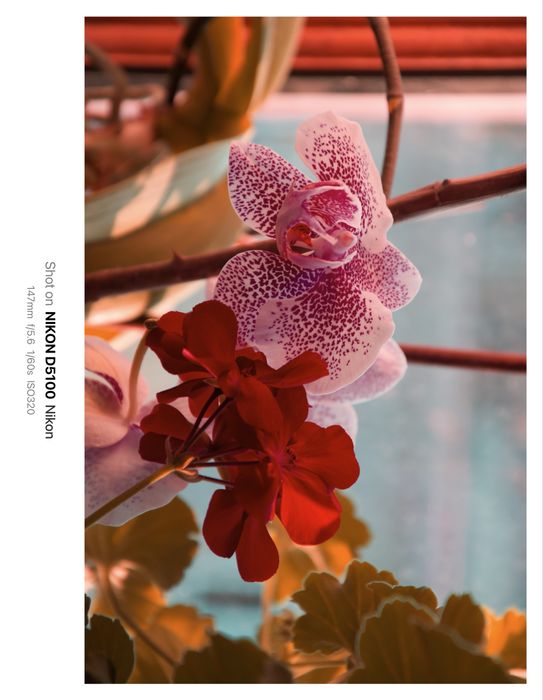 Nikon D5100 + объектив 18–105 мм