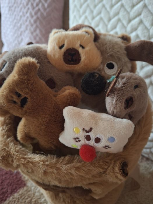 Букет из мягких игрушек Капибара.