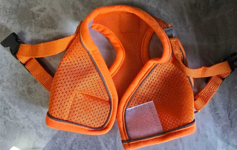 Шлейка с поводком