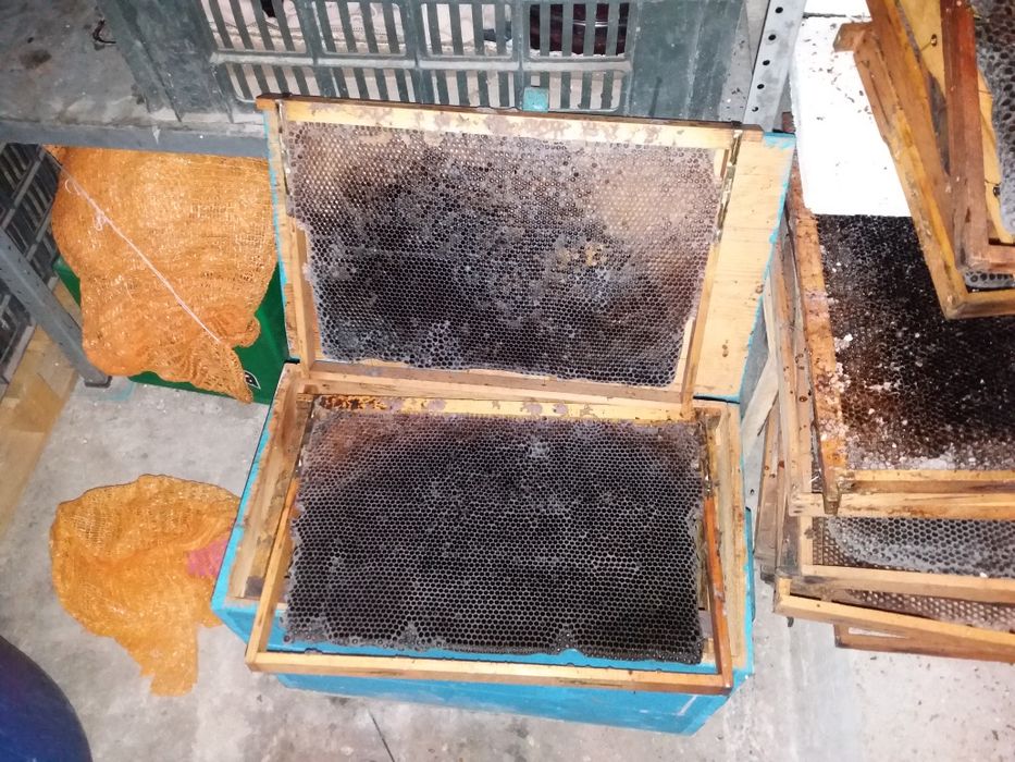 Продавам 10 рамкови Магазини