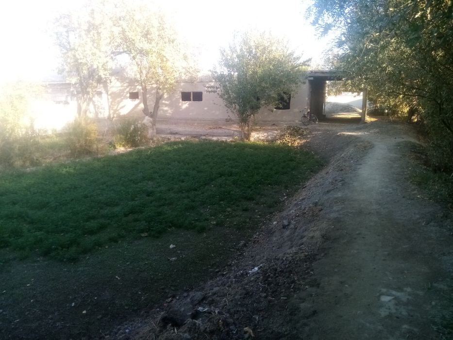 Usti yopilgan uchaska sotiladi 12 so'tiq narxi kelishiladi