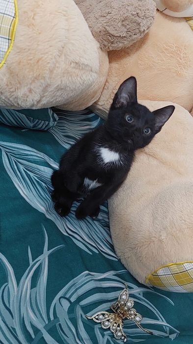 В самые добрые и ответственные руки.