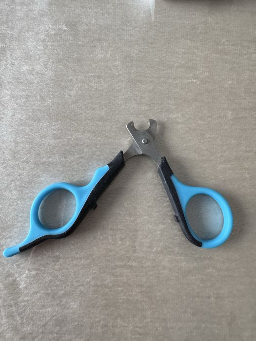 Mushuklar Tirnoq olgich || Кусачку для кошки