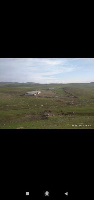 Таер ферма сотилади