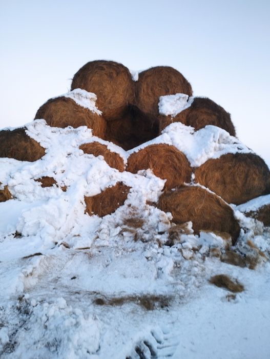 Продам сено разнотравье