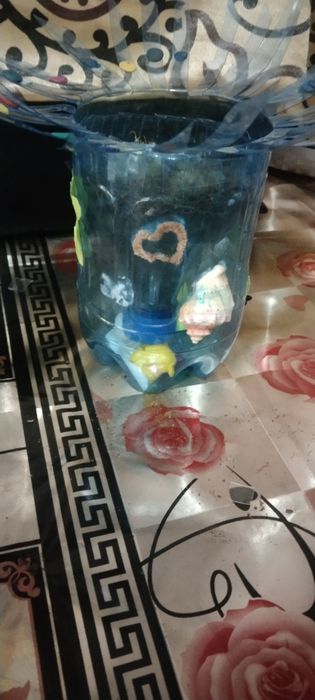 Продаётся кактусы