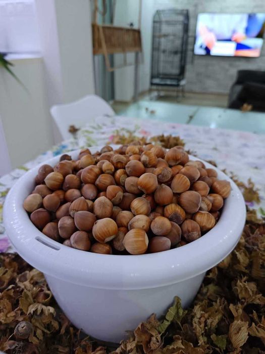 Продава се Земеделски имот в с. Драчево, Област Бургас -  кв.м за 2408 €/дка - Снимка #12