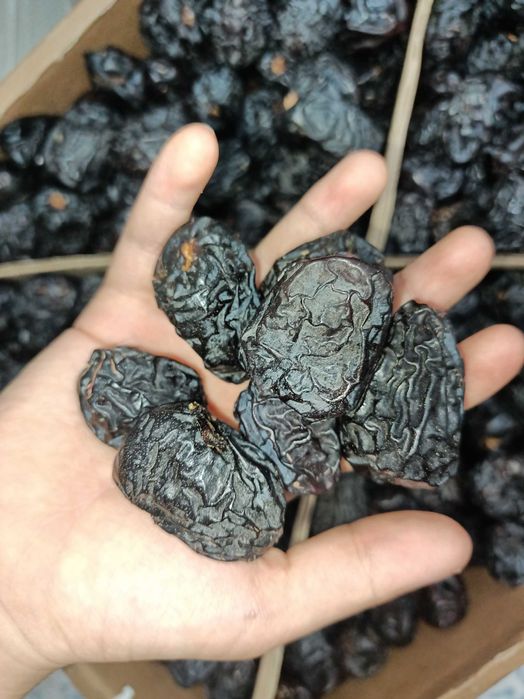 Финики Аджва Суккари