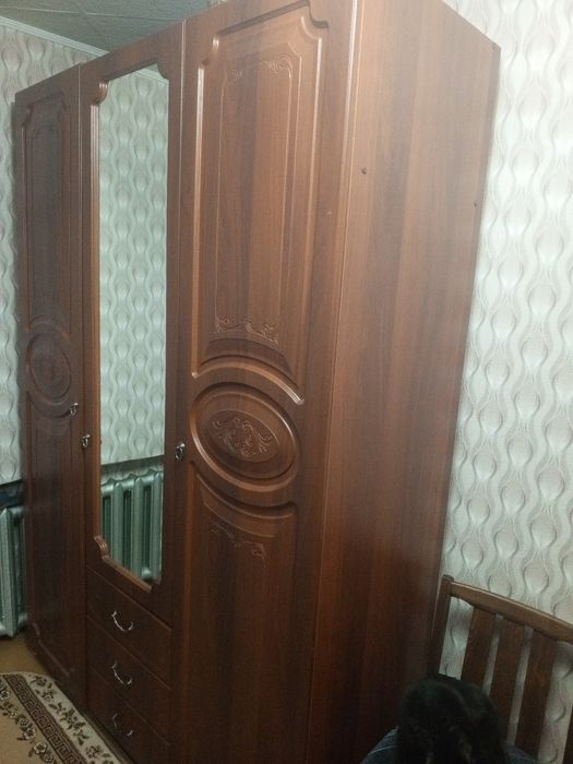 Коричневый шифонер