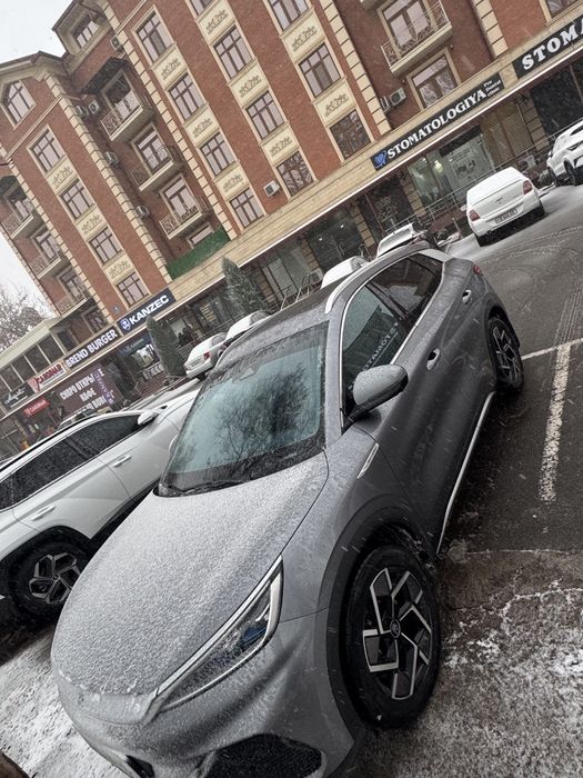 BYD Yuan Plus Flagship 2022/2023