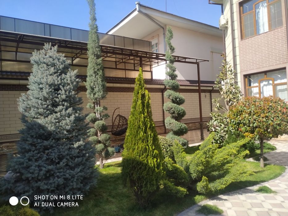 Landshaft gazon vadapad ландшафтный дизайн