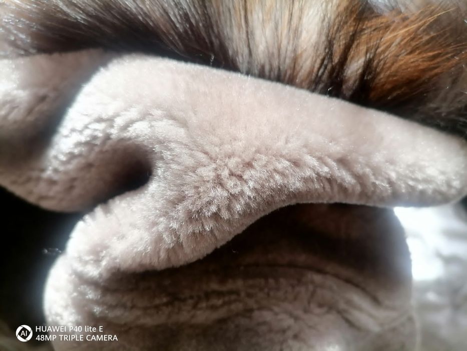 Продам дубленку женскую 52 рр