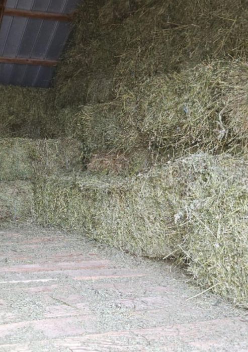 Baloti de fan de vanzare